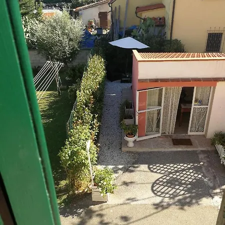 Alex * Pisa