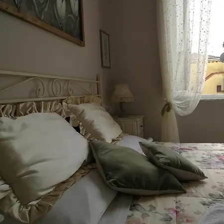 Alex * 피사