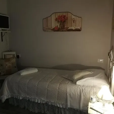 Alex B&B 피사