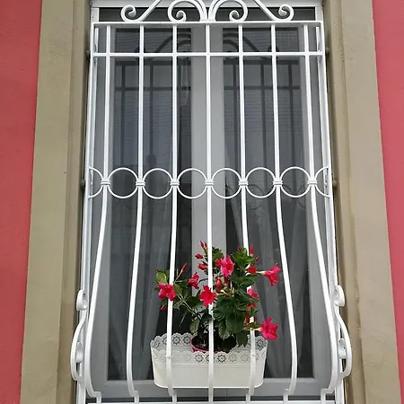 Alex Bed & Breakfast